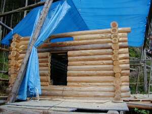 �䏊�Ƃ̎d�؂��