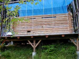 ���ʂ̃��O�E�H�[��