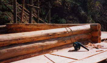 �O�i�ڂ��ς݂�����B�����܂łŎO�T�ԁB