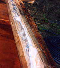 ���񂾃O���[�v�ɒf�M�ނ�����