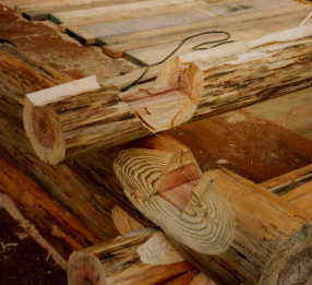 ���b�N�m�b�`