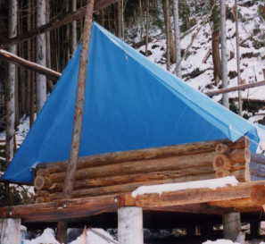 ��̂��߂̗{��