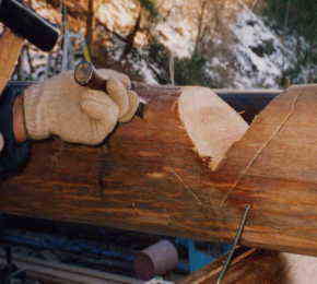 �X�R�A�����O